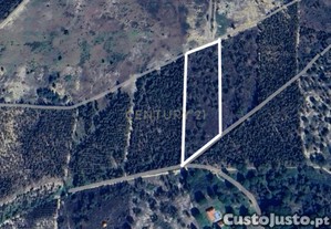 Terreno Rstico | 2 Hectares (20 000m2) | Santo Isidro de Peges | Potencial para Indstria | Agricultura | Habitao