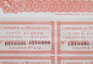 imagem_7