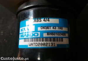 imagem_3