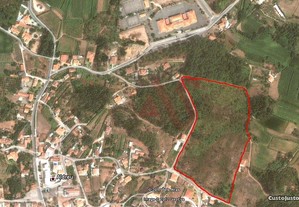 Terreno Com 397 M2 Em Fragoso, Barcelos, Braga, Barcelos