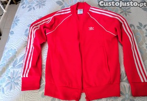 imagem_1