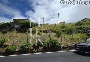 imagem_7
