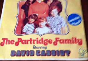 Vinil: David Cassidy-The Partridge Family