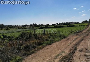 Terreno Rústico Com 5.000 M2 Em Fradelos V.N....