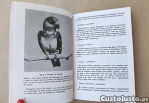 imagem_8