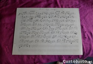 imagem_2