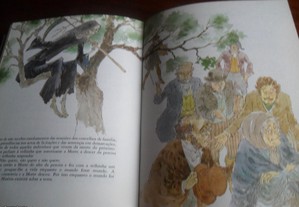 imagem_7