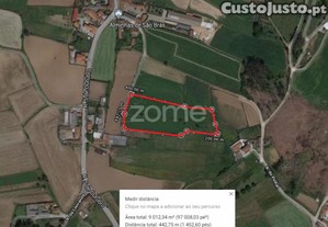 Terreno Rústico Com 5.000 M2 Em Fradelos V.N....
