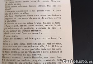 imagem_7