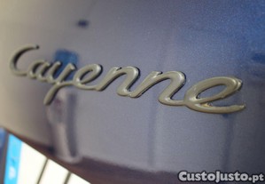 imagem_15