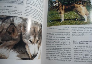 imagem_7