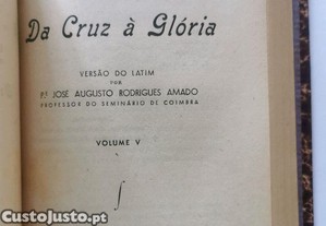 imagem_7