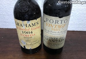 imagem_8