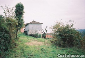 imagem_8