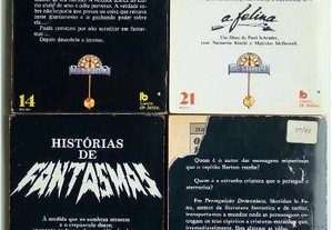 imagem_3