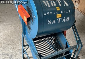 Erguedeira Azeitona MOTA