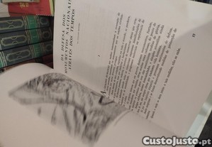 imagem_13