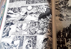 imagem_5