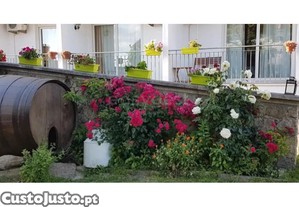 imagem_35