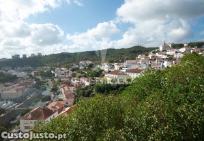 imagem_11