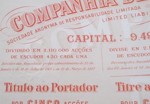 imagem_8