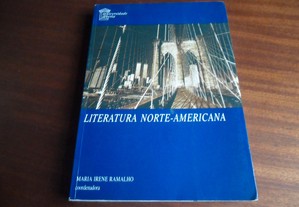 "Literatura Norte-Americana" de Maria Irene Ramalho e Outras - 1ª Edição de 1999