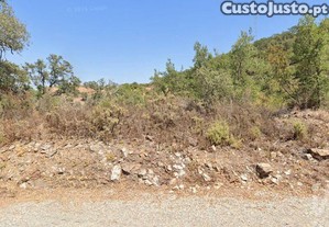 Terreno Agrícola em Santa Catarina da Fonte do Bispo