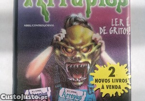 imagem_5