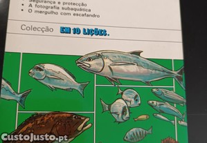 imagem_8