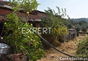 imagem_29