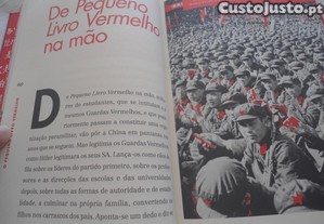 imagem_7