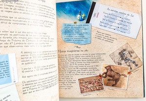 imagem_2