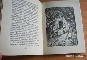 imagem_5