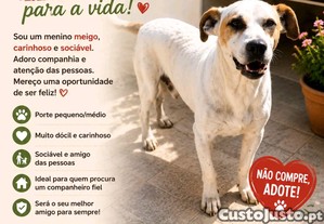 Procura uma família para a vida