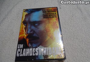 imagem_1