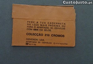 imagem_2