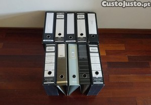 Lote de 10 Pastas de Arquivo Ambar
