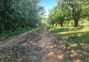 imagem_27