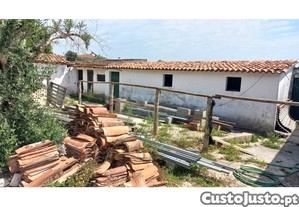 imagem_18