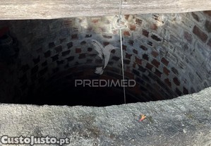 imagem_12