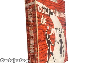 imagem_1