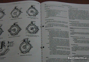 imagem_6