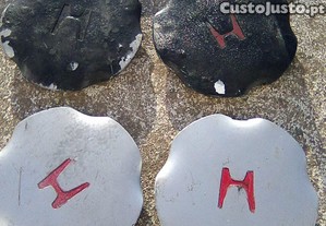 imagem_7