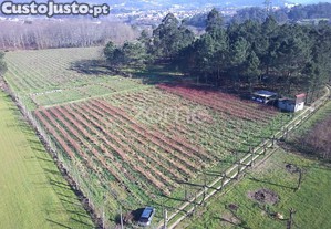 Quinta Agrícola 13300M2 Em Barreiros, Amares