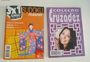 Livro de Cruzadas e Sudoku novos