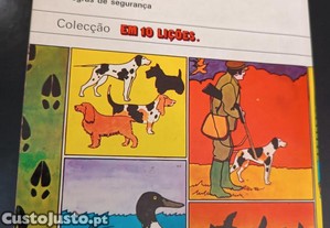 imagem_8