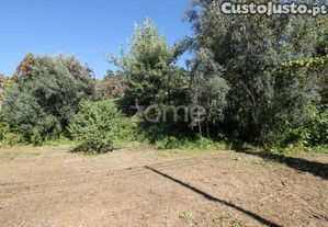 Terreno Com Possibilidade De Construção De...