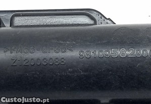 imagem_6