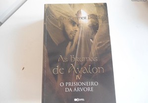 imagem_6