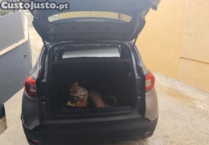imagem_7